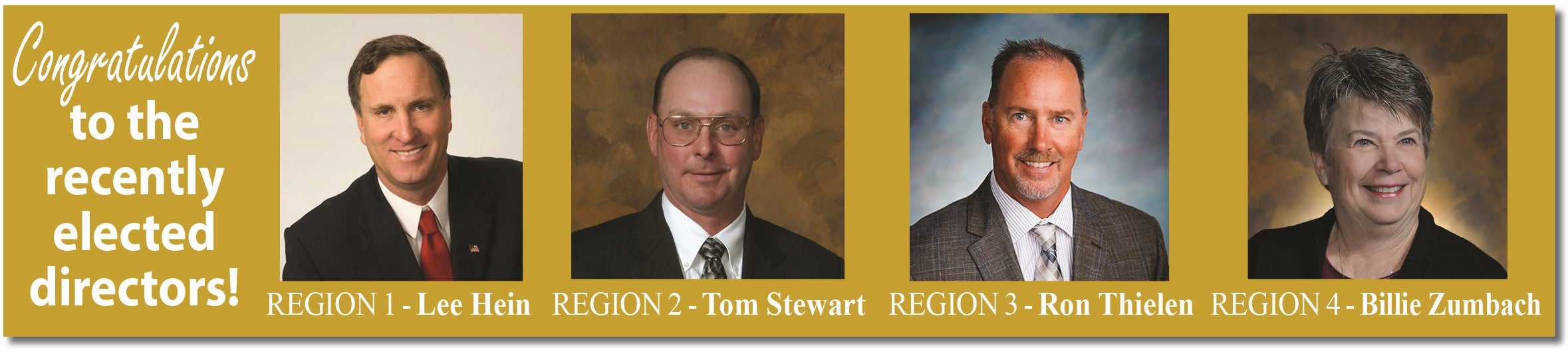 elected directors 2025