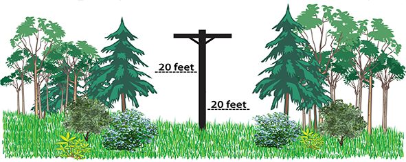 tree plating guide