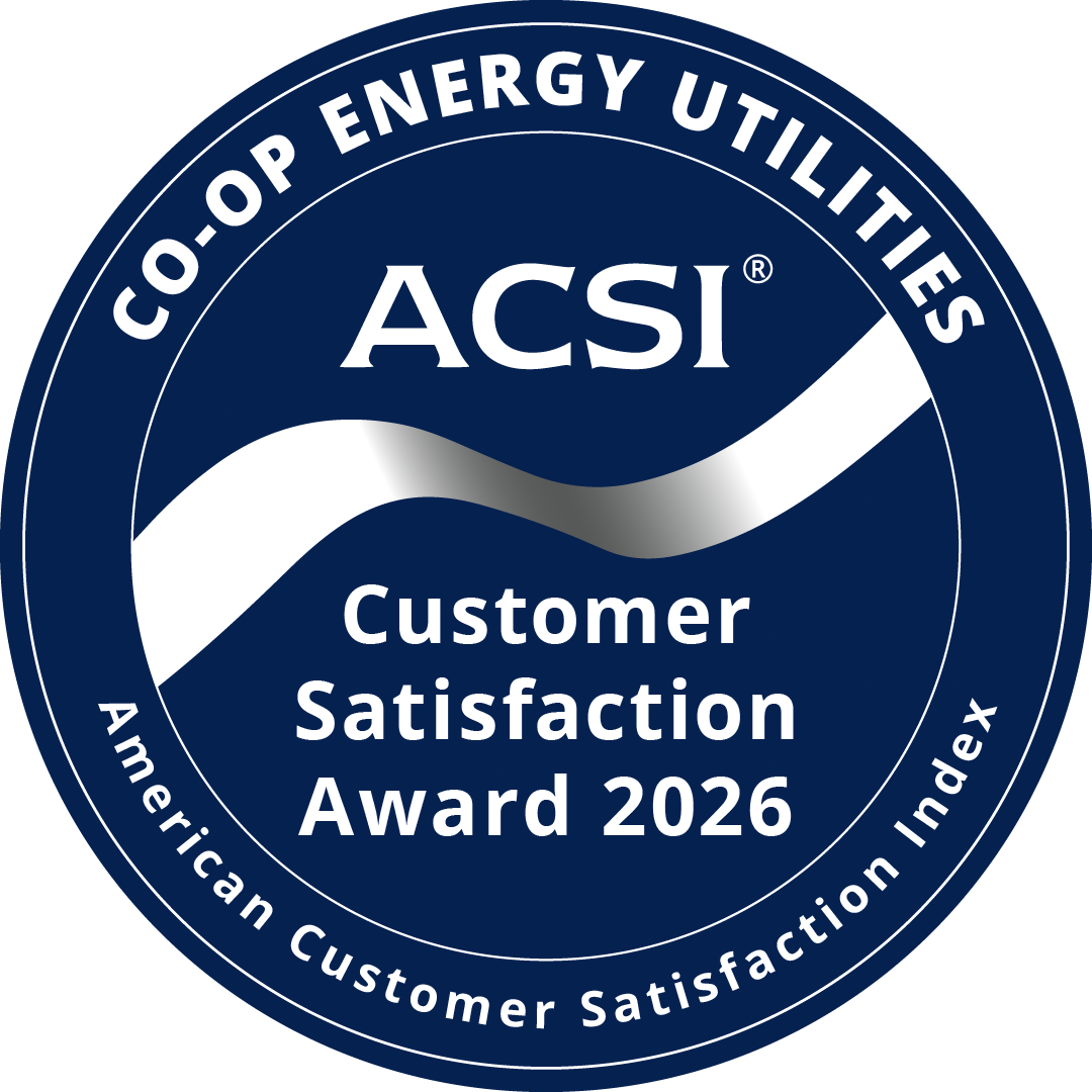 ACSI Badge