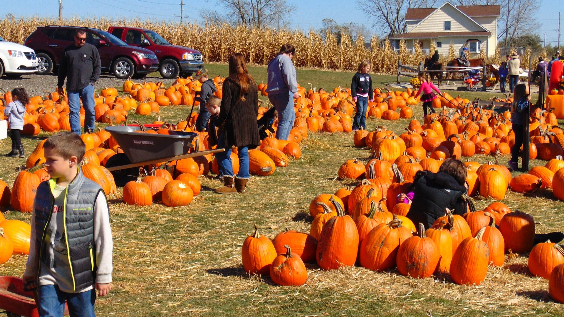 Family at pumpkin patch