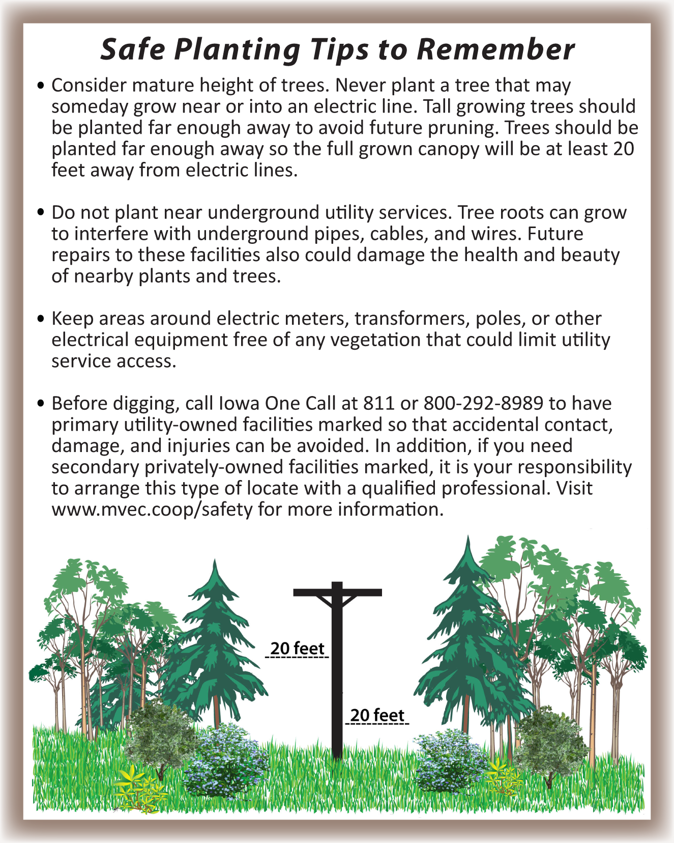 tree_planting_tips2.png
